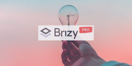 Brizy Pro
