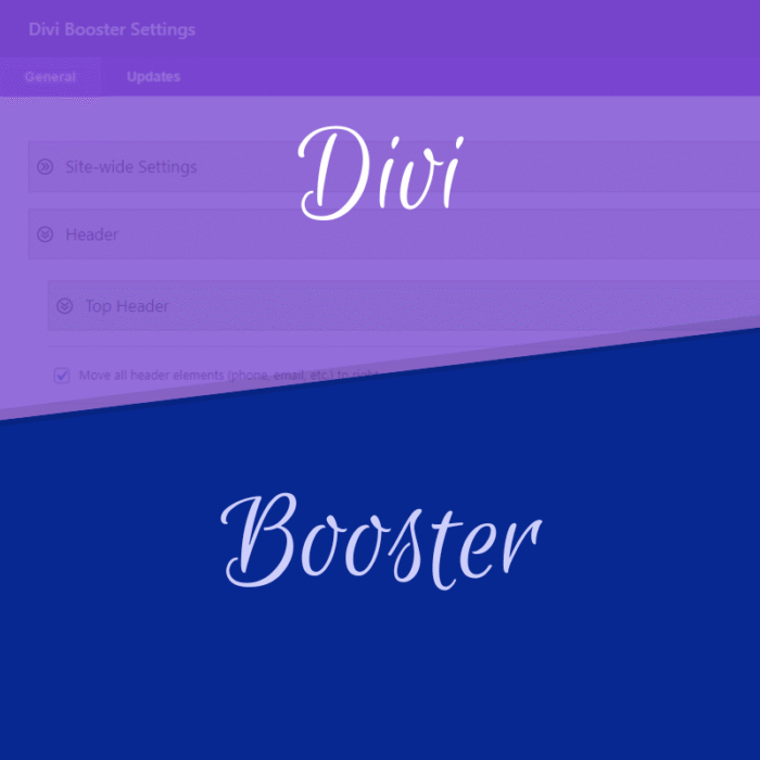 Divi Booster Plugin for WordPress - छवि 1